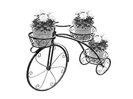 Цветочницы